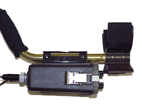 tesorotiger3.gif - 19564 Bytes